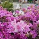 구리봉작은도서관 이미지