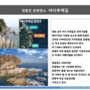 정동진 솔라뷰 호텔 앤 리조트 이미지