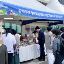 친환경복합양식융합협동조합 | MCT페스티벌 후기 -모아생활SOC협동조합, 가치사봄상점-