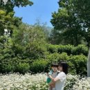 셀 로스터스 강화점
