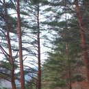 낙동강세평하늘길 | [경북 봉화] 낙동강 세평 하늘길 - 겨울 낭만이 넘치는 길