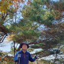 고성산 정상 전망대 이미지