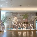 디 오아시 이미지