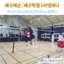 배구레슨전문LHJ컴퍼니 이미지
