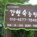 현숙 농장 이미지