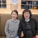 회령 Daum카페