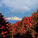 3층 대강당 이미지