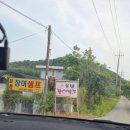금성면 와룡길 전남 네이버블로그
