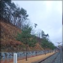 청도레일바이크 이미지