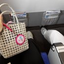 에듀시티로239번길 | 임신 20주차 제주도 태교여행, 임산부 비행기 탑승 혜택, 제주도 산부인과 방문, 임산부 방광염 (feat...