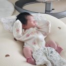 119 | 수원 산후도우미 업체 추천 산모도우미119 업체 선택 이유 및 후기