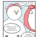 트리비에스테틱