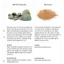 엘샤론 코리아 이미지