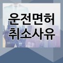 사유 이미지