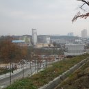 영천야구장 이미지