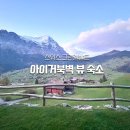 아이거 | 스위스 그린델발트 숙소 추천 아이거북벽 뷰 맛집 샬레후기