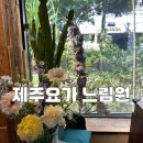 마음을 담는 싱잉볼 명상&요가 B | [제주 제주시 요가] 제주요가 느림원 | 도심 속에서 찾은 완벽한 휴식, 제주요가 느림원 수련 후기