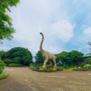 제주 공룡랜드 전시관 이미지