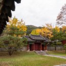 충장사매점