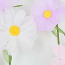젤리빈스튜디오