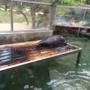 주주(ZOO ZOO) 이미지