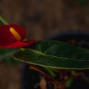 산림조합화장실 이미지