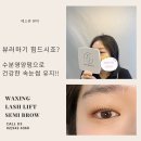 강남속눈썹펌 에스쥬뷰티 속눈썹펌