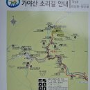 해인사 소리길 이미지