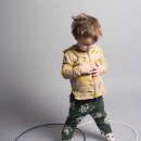 보보나마켓 이미지