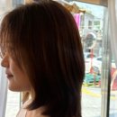 필포유 네이버블로그