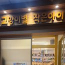 고양이별 작은아이 이미지