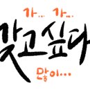 쫀데기1973 이미지