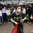 도시탈출민박 이미지