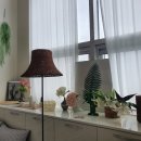 주식회사 비엔비랩스 | 창원 에어비앤비 후기 / 행복했던 상남동에서 1박