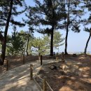 맹방해수욕장산림욕장 네이버블로그