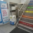 푸른드리 이미지