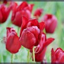 사계절커튼 이미지