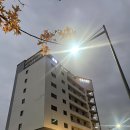 오송스테이호텔 이미지