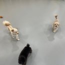 하이몽몽 이미지