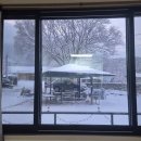 느티나무집민박 이미지