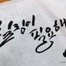 캘리그라피 Daum카페