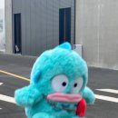 지동시장 이미지