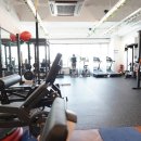 포레스트짐 이미지