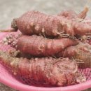 감로농장 이미지