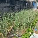 재원농장 이미지