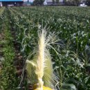 제주 토브 이미지