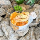 모모의바다 이미지