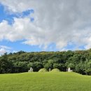 궁중수라청 이미지