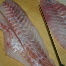 창리해상낚시터 이미지