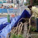 선사초등학교 이미지